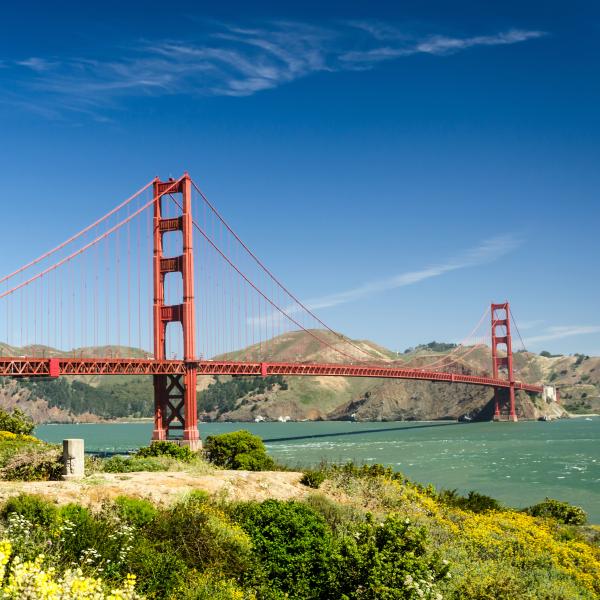 Gezondheidszorg en de VS: een match made in heaven?